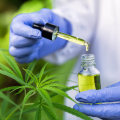 Exploring the Potential of Cannabis Therapy in Conjunction with Other Treatments