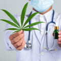 The Vital Role of Healthcare Professionals in Cannabis Therapy