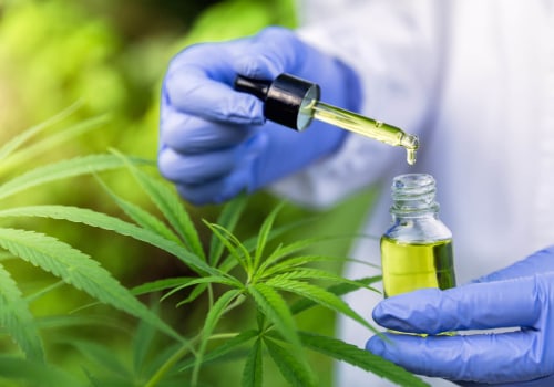 Exploring the Potential of Cannabis Therapy in Conjunction with Other Treatments