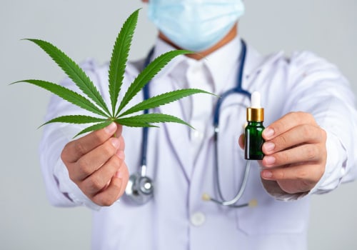 The Vital Role of Healthcare Professionals in Cannabis Therapy